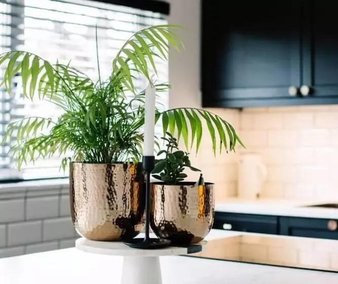 レジデンス Modern & Stylish Home In The Heart Of Belfast City