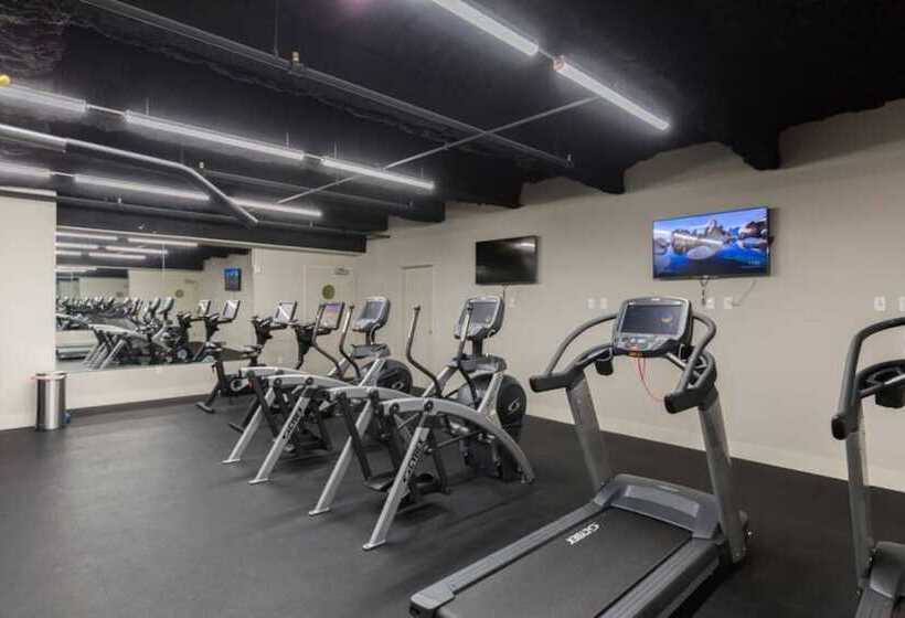 Upscale Condos And Penthouses Close To Canal & Bourbon St