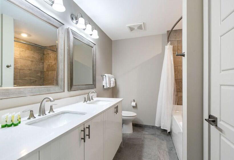 Upscale Condos And Penthouses Close To Canal & Bourbon St