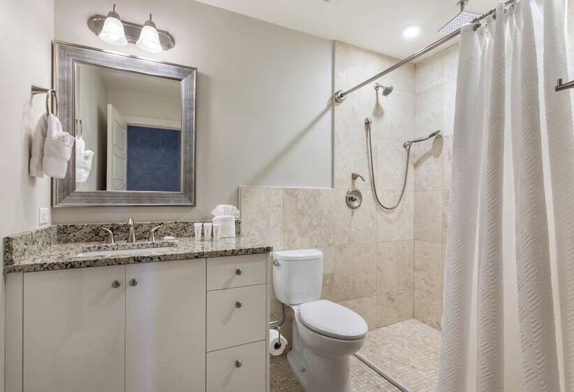 Upscale Condos And Penthouses Close To Canal & Bourbon St