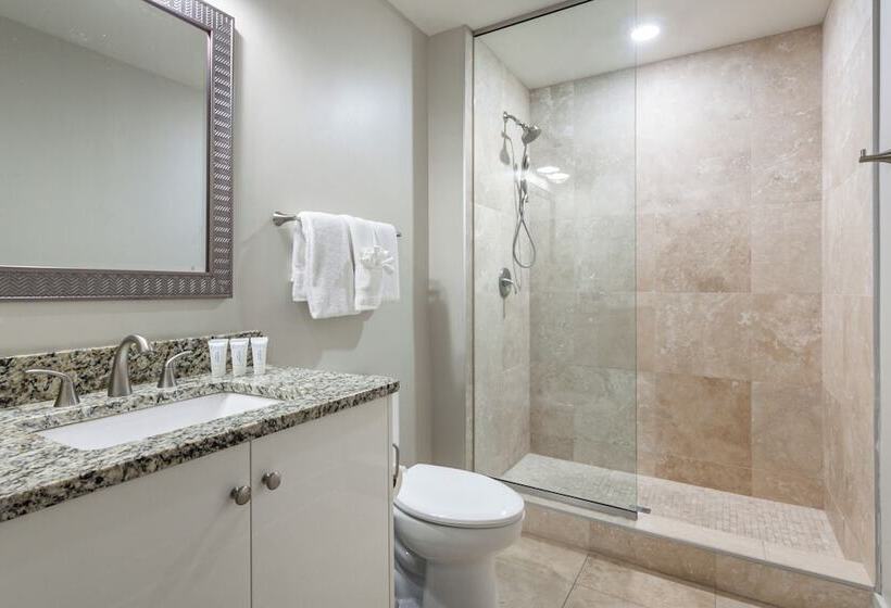 Upscale Condos And Penthouses Close To Canal & Bourbon St