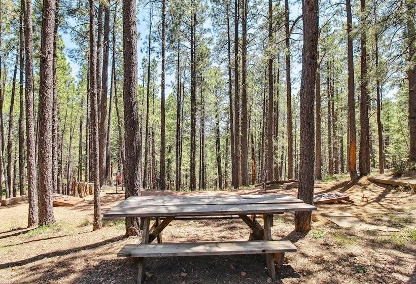 Near Trails: Forest Lake Retreat W/ Backyard Oasis