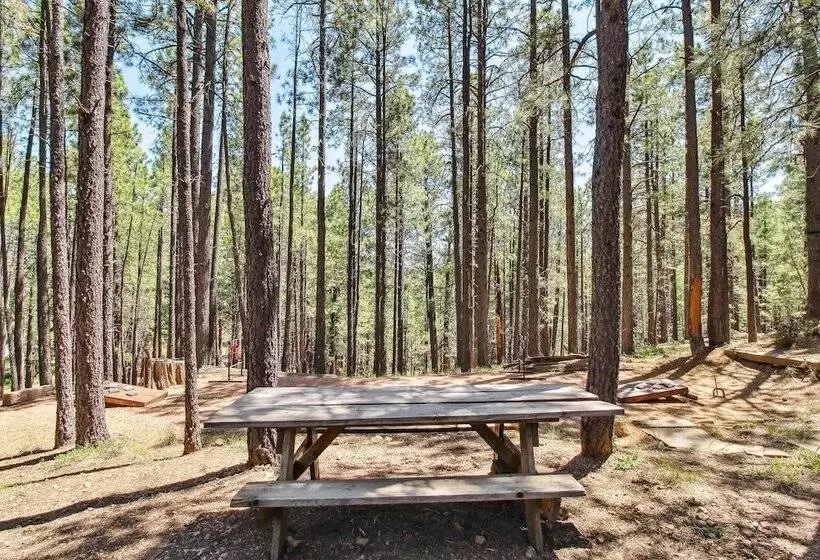 Near Trails: Forest Lake Retreat W/ Backyard Oasis