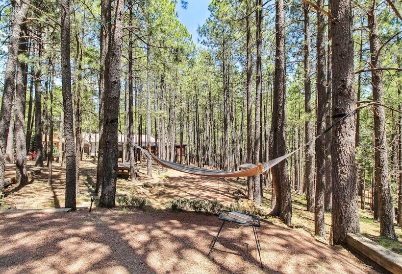 Near Trails: Forest Lake Retreat W/ Backyard Oasis