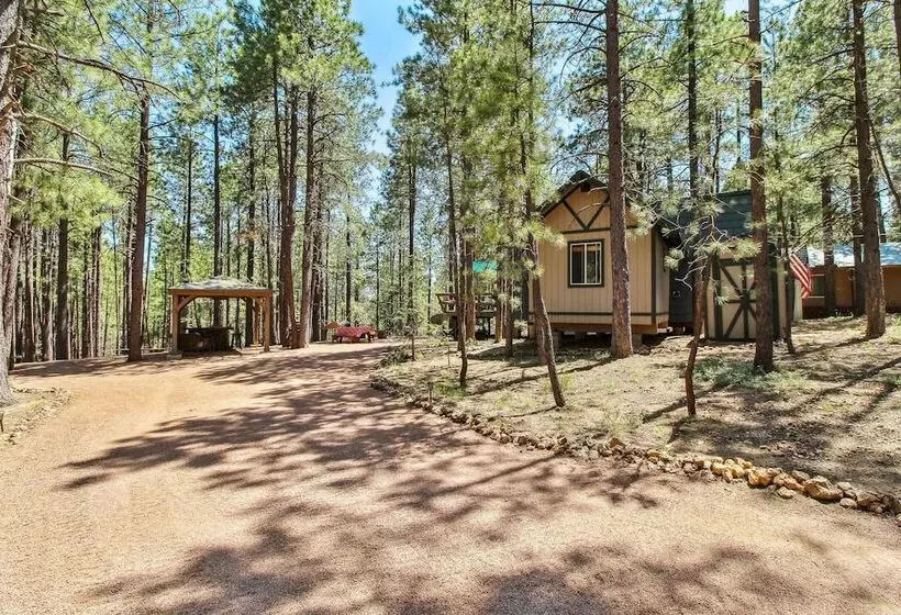 Near Trails: Forest Lake Retreat W/ Backyard Oasis