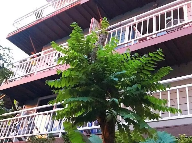 Pensão Blue View House Phi Phi