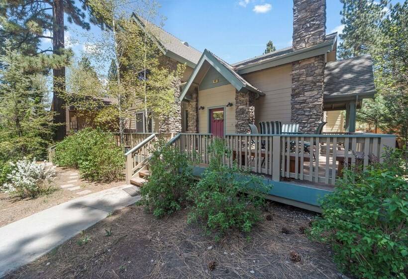 Summit Shooting Stars