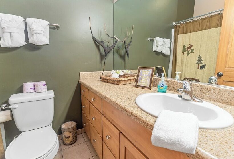 Summit Shooting Stars