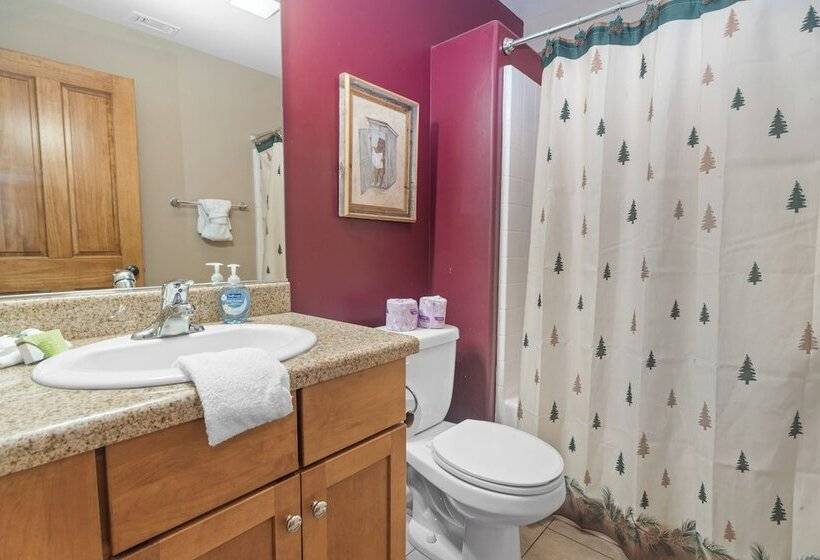 Summit Shooting Stars