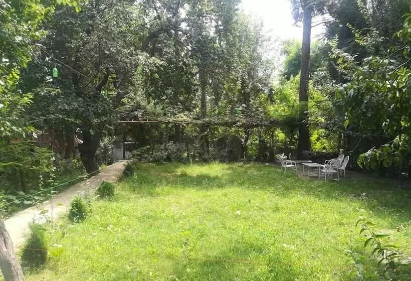 هتل Blossom Guest House Gilgit