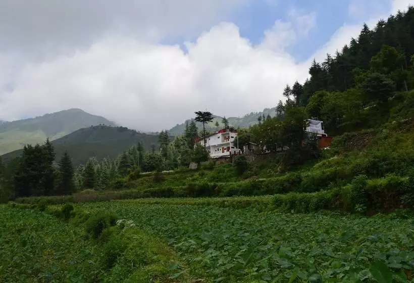 Hotelli Burans And Restaurant