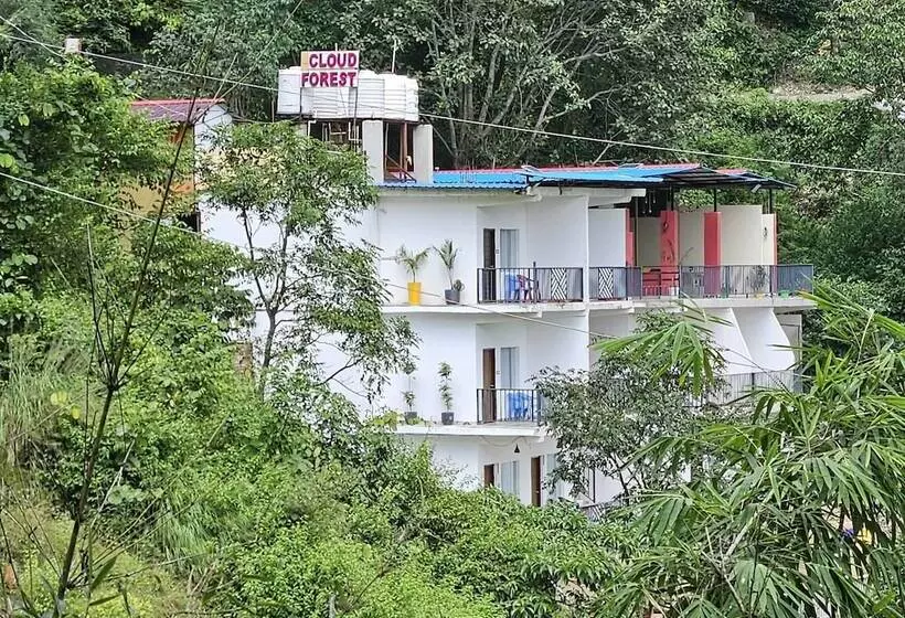 Hôtel Cloud Forest