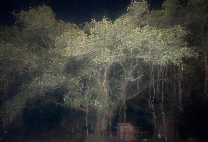 호텔 Jungle Journey