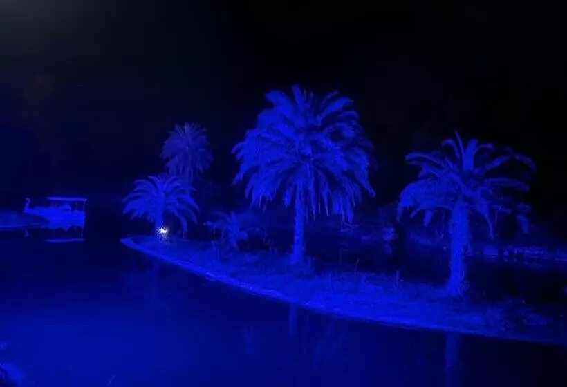 ホテル Jungle Journey
