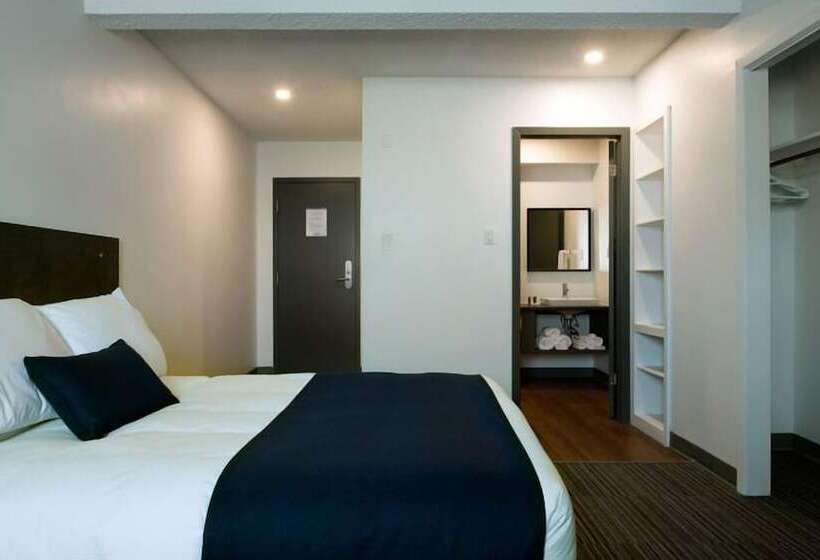 هتل Mynarski House