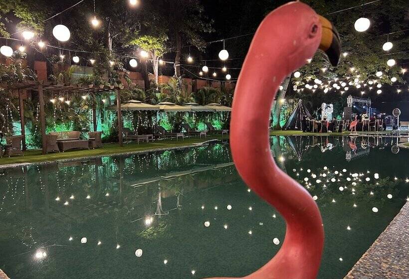 渡假胜地 Bel La Monde Hotel Chhattarpur South Delhi