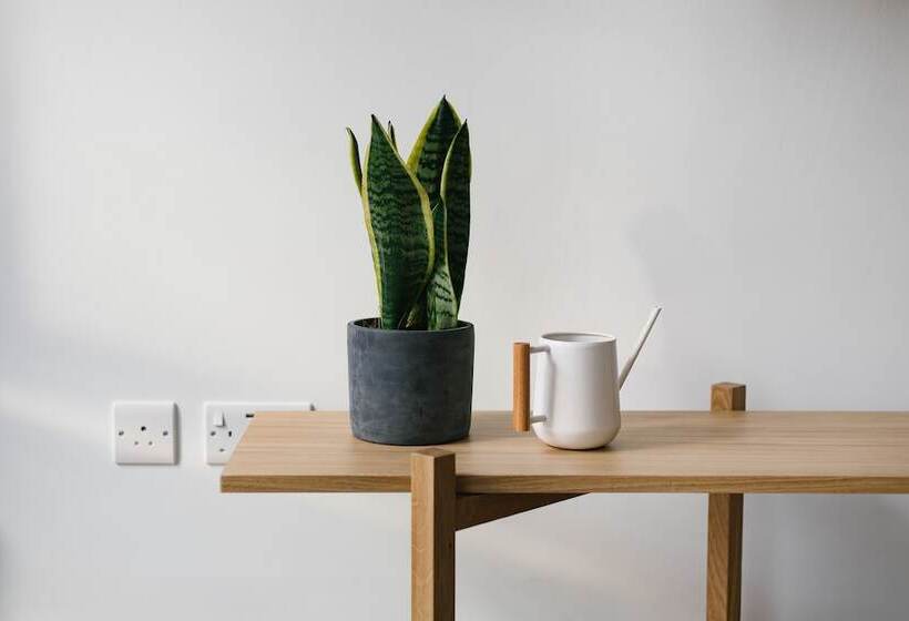 Hausd   Leicester Square