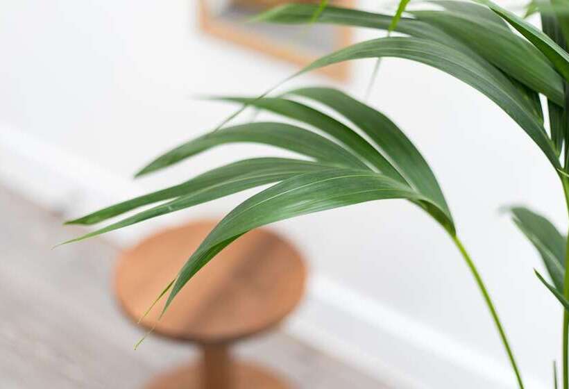 Hausd   Leicester Square