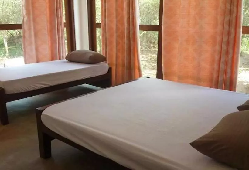 Hotelli Forest Edge Bungalow   Wilpattu