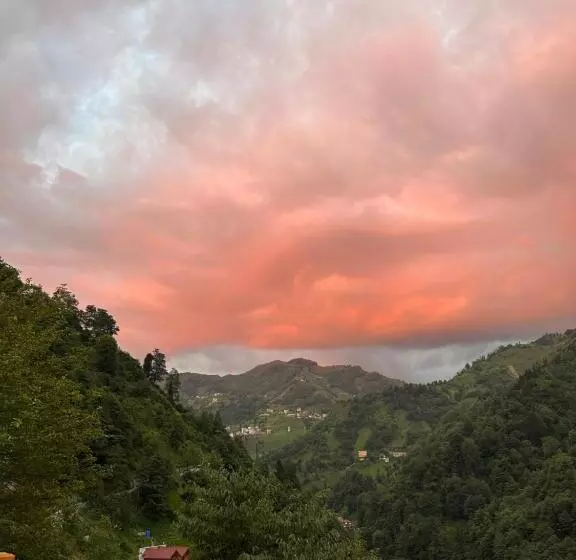 ホテル Maysa Suit Bungalov