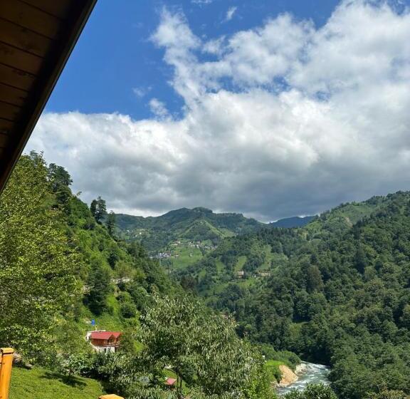 호텔 Maysa Suit Bungalov