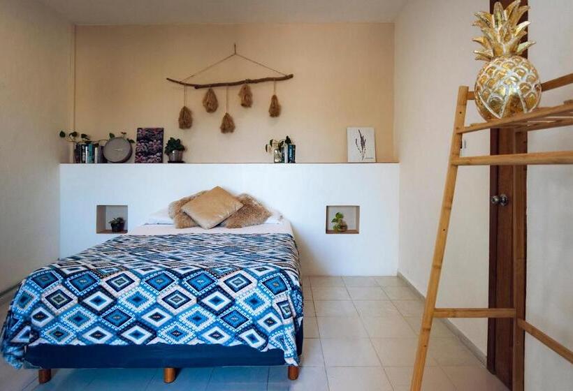 Hostel Hostal Cuca Macuca