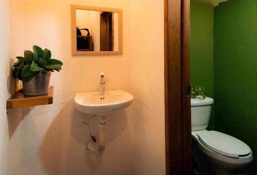 Hostel Hostal Cuca Macuca