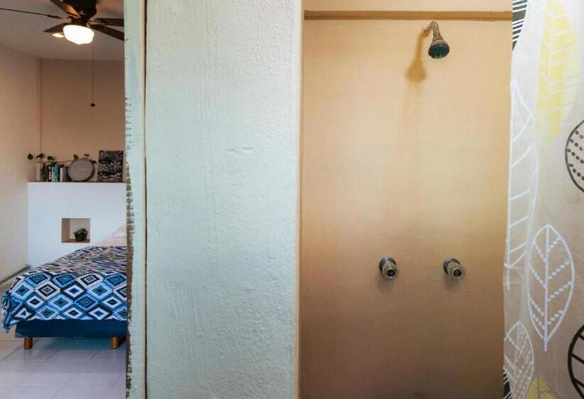 Hostel Hostal Cuca Macuca