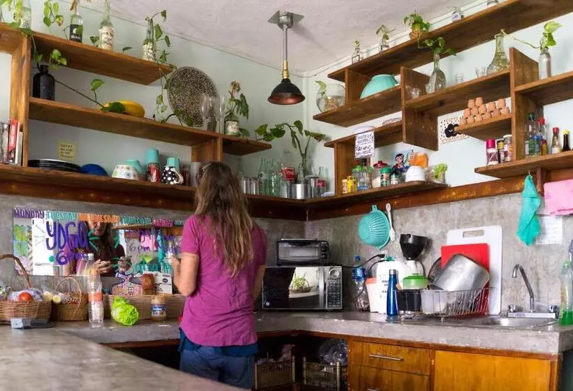 Retkeilymaja Hostal Cuca Macuca