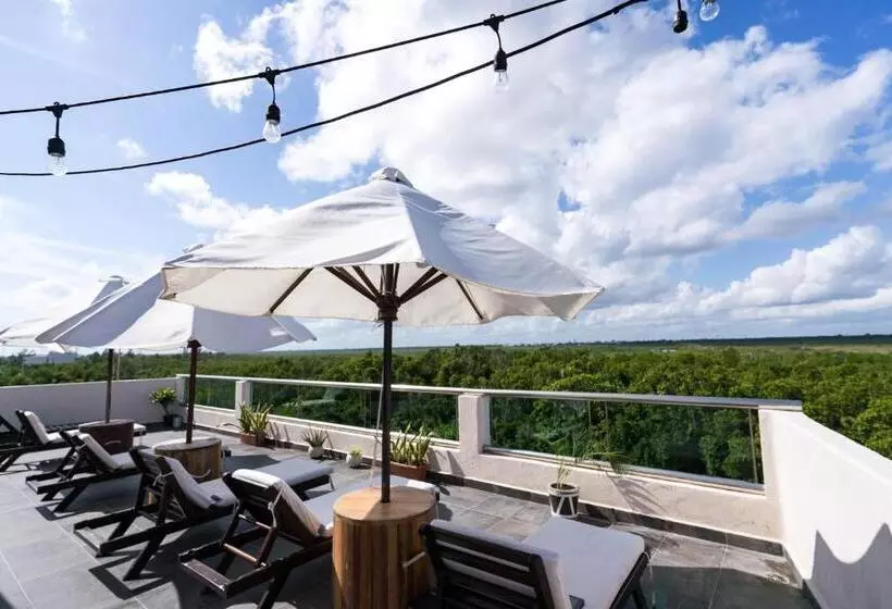 Retkeilymaja Hostal Cuca Macuca