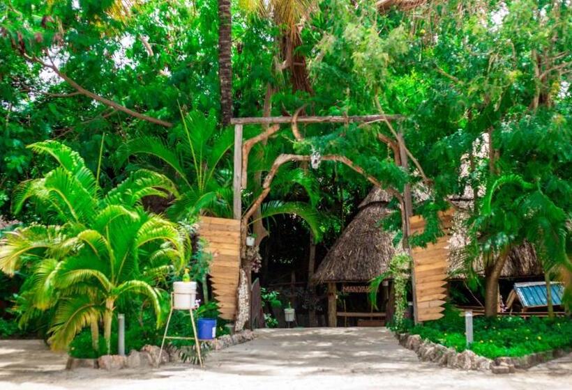 تختخواب و صبحانه Modamba Bar, Restaurant And Social Hall