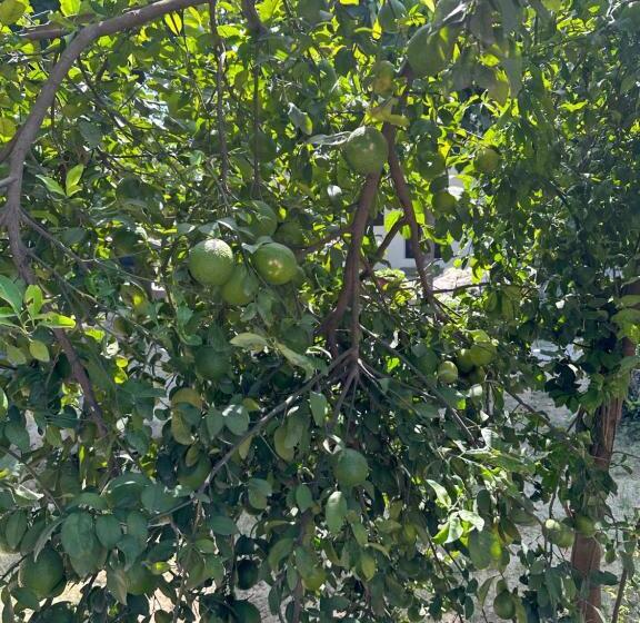 酒店 Chitragarh Farm