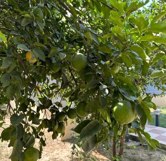 酒店 Chitragarh Farm