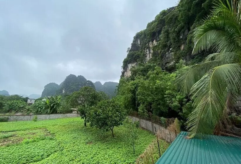 هتل Trang An Elegant Homestay