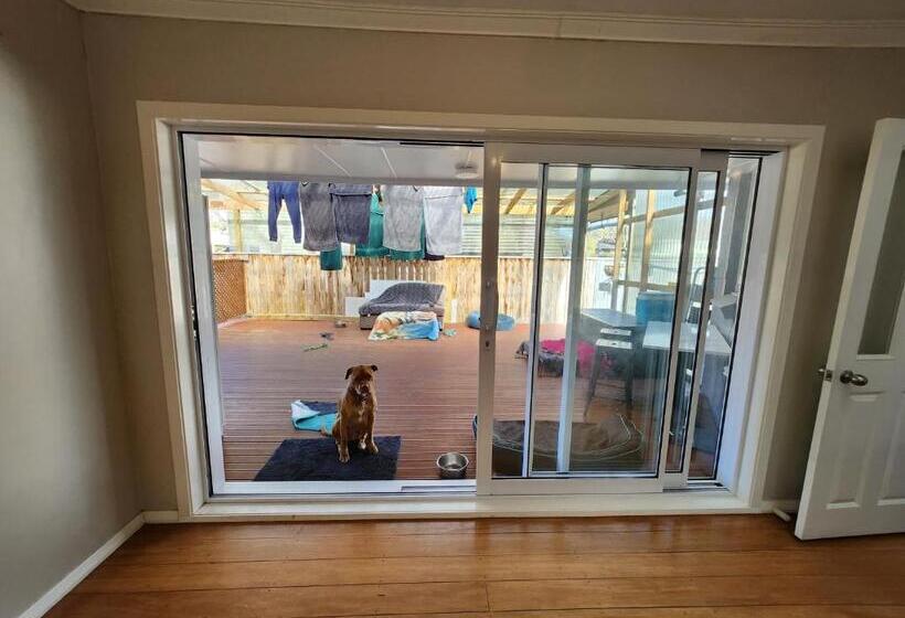 膳宿费 Animal Friendly Kitchen + Parking