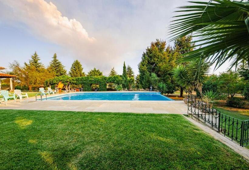 פנסיון Casa Da Calçada