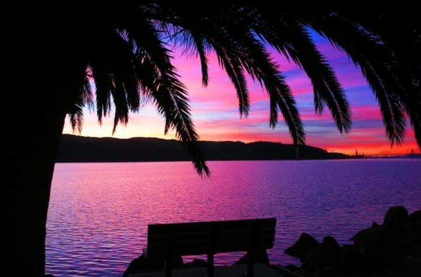 펜션 Modern Immaculate Downtown Cottage With Private Yard