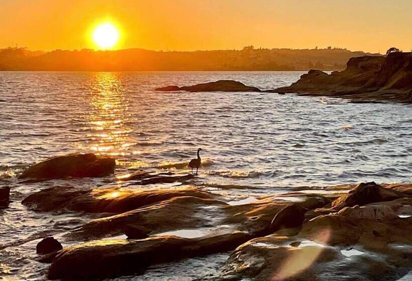 펜션 Modern Immaculate Downtown Cottage With Private Yard