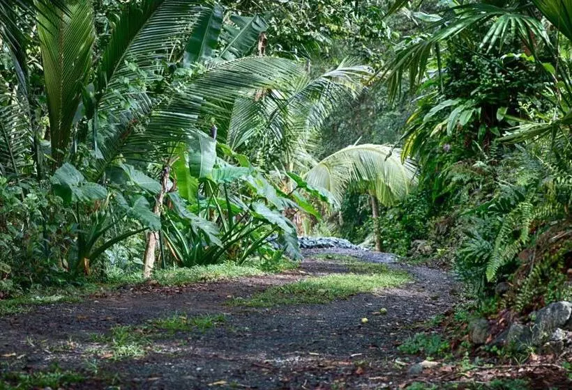 استراحتگاه Mont Carpe Diem