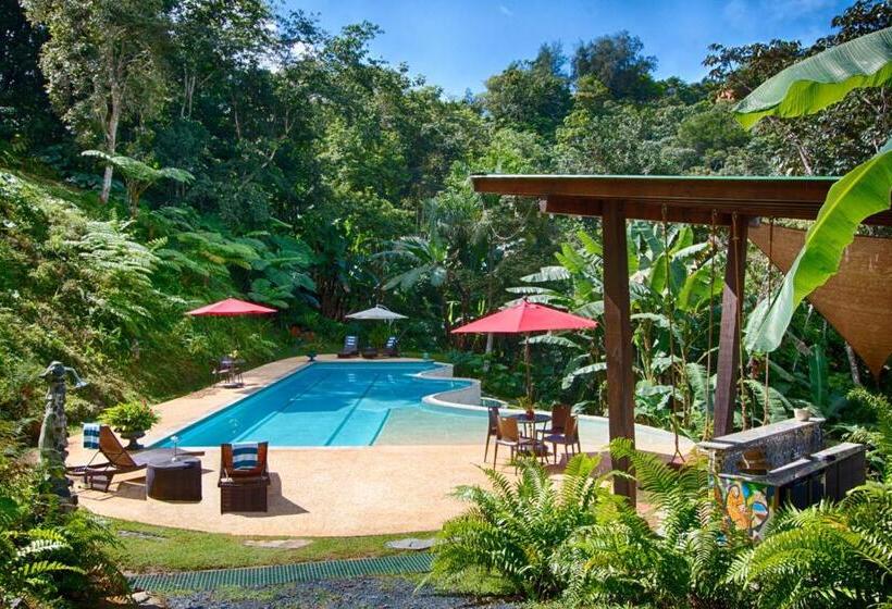 استراحتگاه Mont Carpe Diem