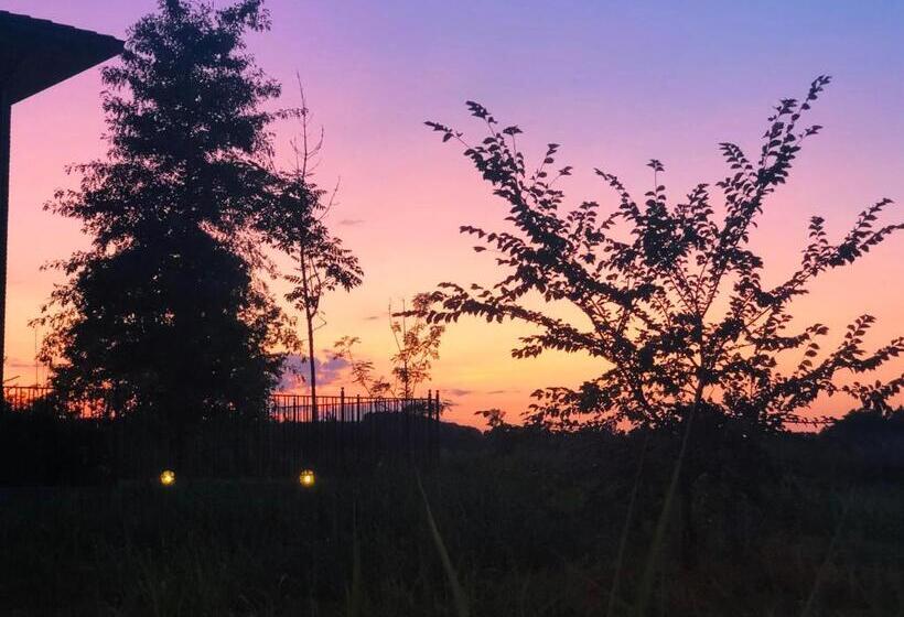 تختخواب و صبحانه Green Suite Pavia