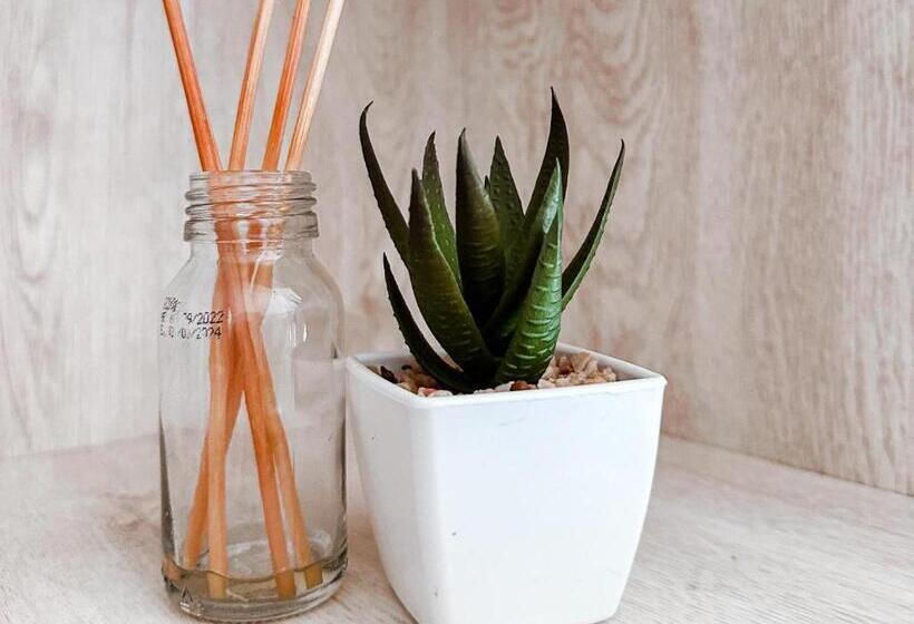 Aamiaismajoitus (B&B) Livingstone