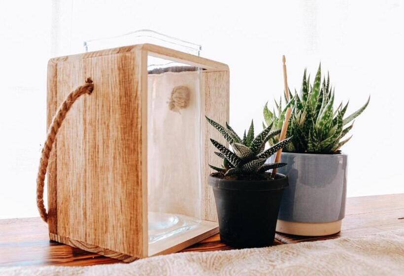 Aamiaismajoitus (B&B) Livingstone