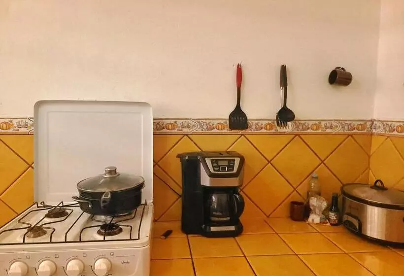Hostel Rossy