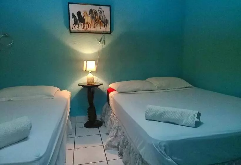 Hostel Rossy