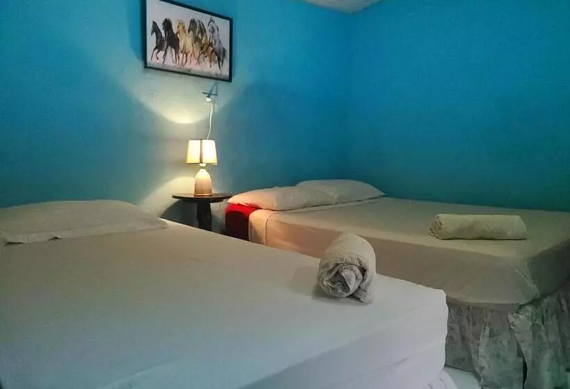 Hostel Rossy