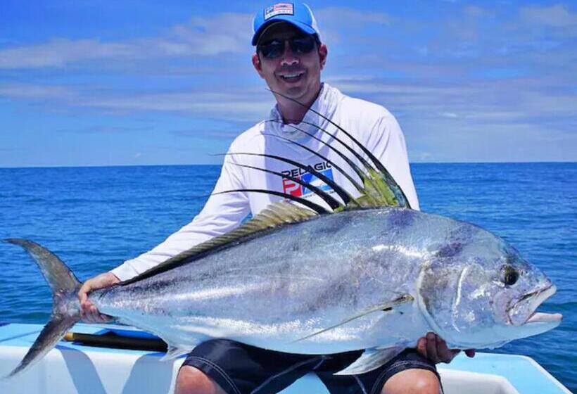 Nimbus Sol   Brand New Suite Near National Park/beaches