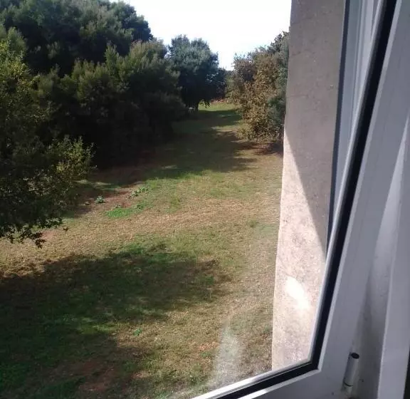 Majatalo Douro Ecostudio