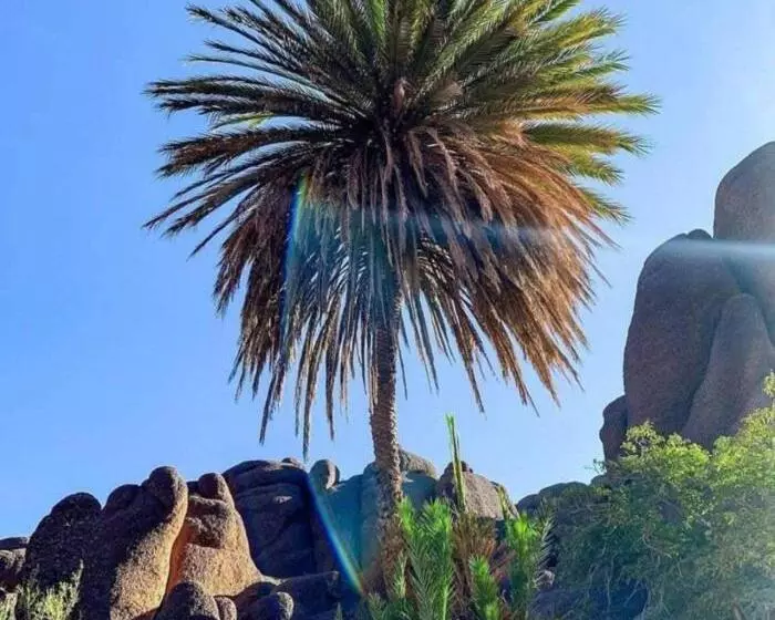 Auberge Le Sirwa Salam