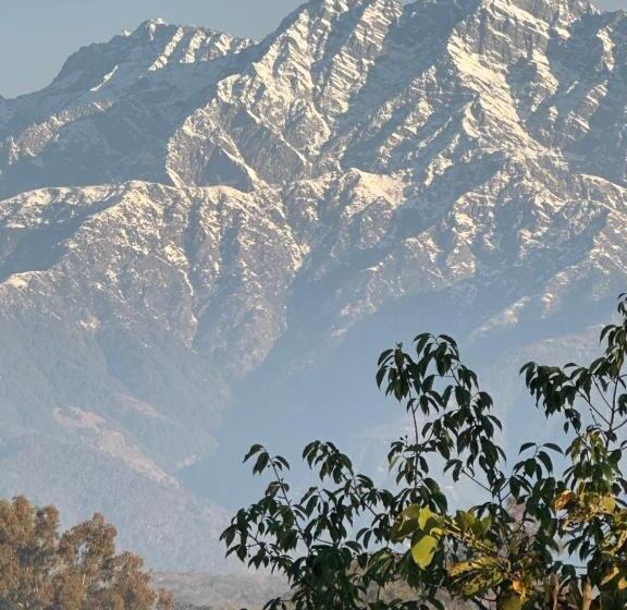 Bed and Breakfast Terra Cottage